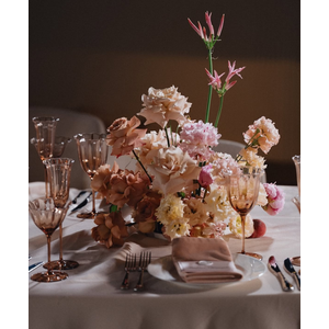 Шампанка Bloomie, Osteospermum - Фото 3