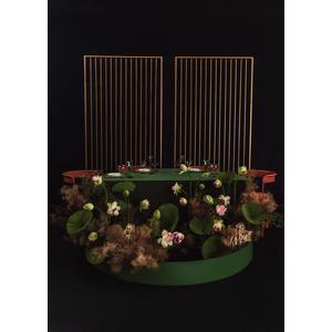 Стул Colorie, Тыквенный тарт + Marigold - Фото 5