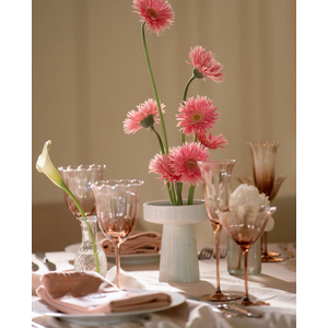 Шампанка Bloomie, Osteospermum - Фото 5