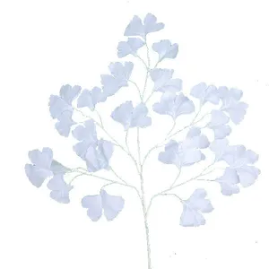 Гинго билоба белая ( продажа 40р/шт)