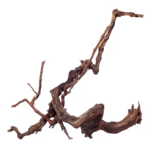 Коряга «Вильфор»