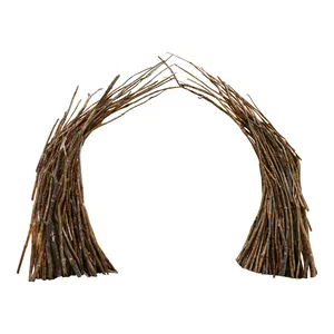 Арка "Диона"