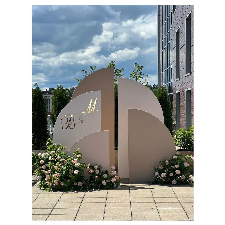 Задник "Гула 110" - Фото миниатюра 5