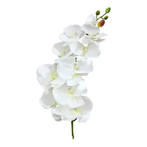 Фаленопсис силиконовый белый