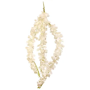 Глициния средняя