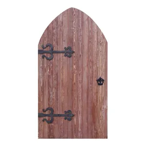 Дверь «Пегас»