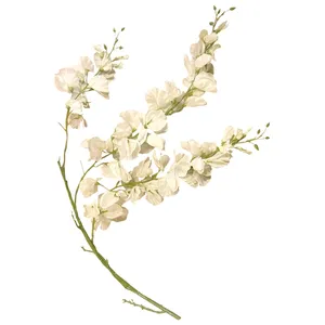 Глициния малая