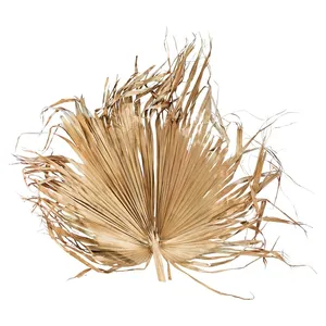 Лист пальмы сухой Гигант