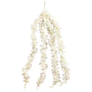 Глициния большая