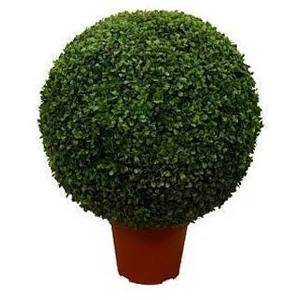Растение «Самшит» искусственное
