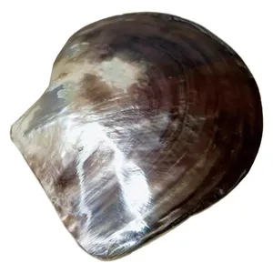 Блюдо сервировочное Shell Gold is Cold - Фото 2