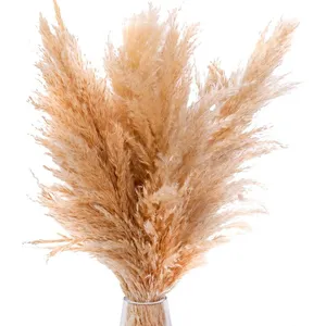 Пампасная трава