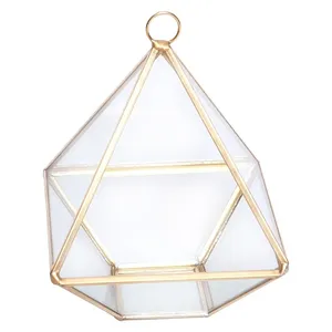 Флорариум золотой