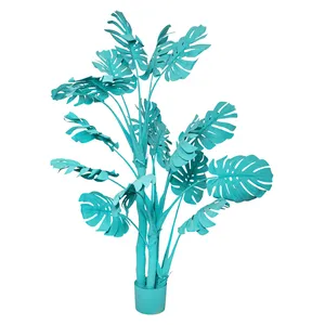 Монстера бирюзовая