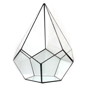 Флорариум черный