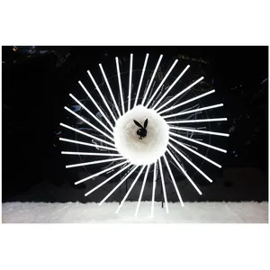 Фотозона Playboy