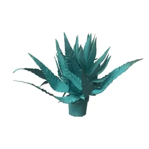 Агава бирюзовая