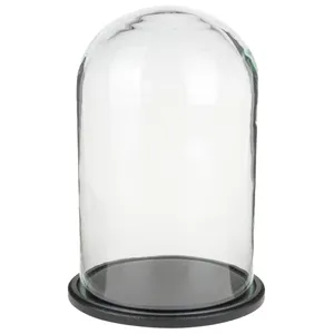 Клош стекло